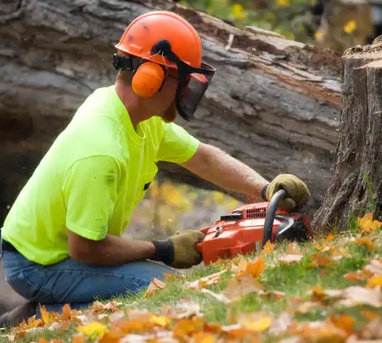 tree services Maugansville